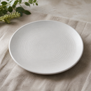 Commercial Coupe Plates 273mm Vitrified Stoneware 6 Pack