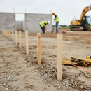 Premium Timber Setting Out Peg 600mm x 42mm x 42mm - FSC Certified for Durable Ground Marking