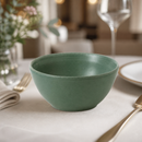 Commercial 14oz Ramen Bowls Green Super Vitrified Porcelain