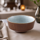 Commercial Soup Bowls 465ml Microwave Dishwasher Safe 12 Pack