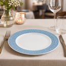 Commercial Isla Plates Ocean Blue 210mm Pack of 12
