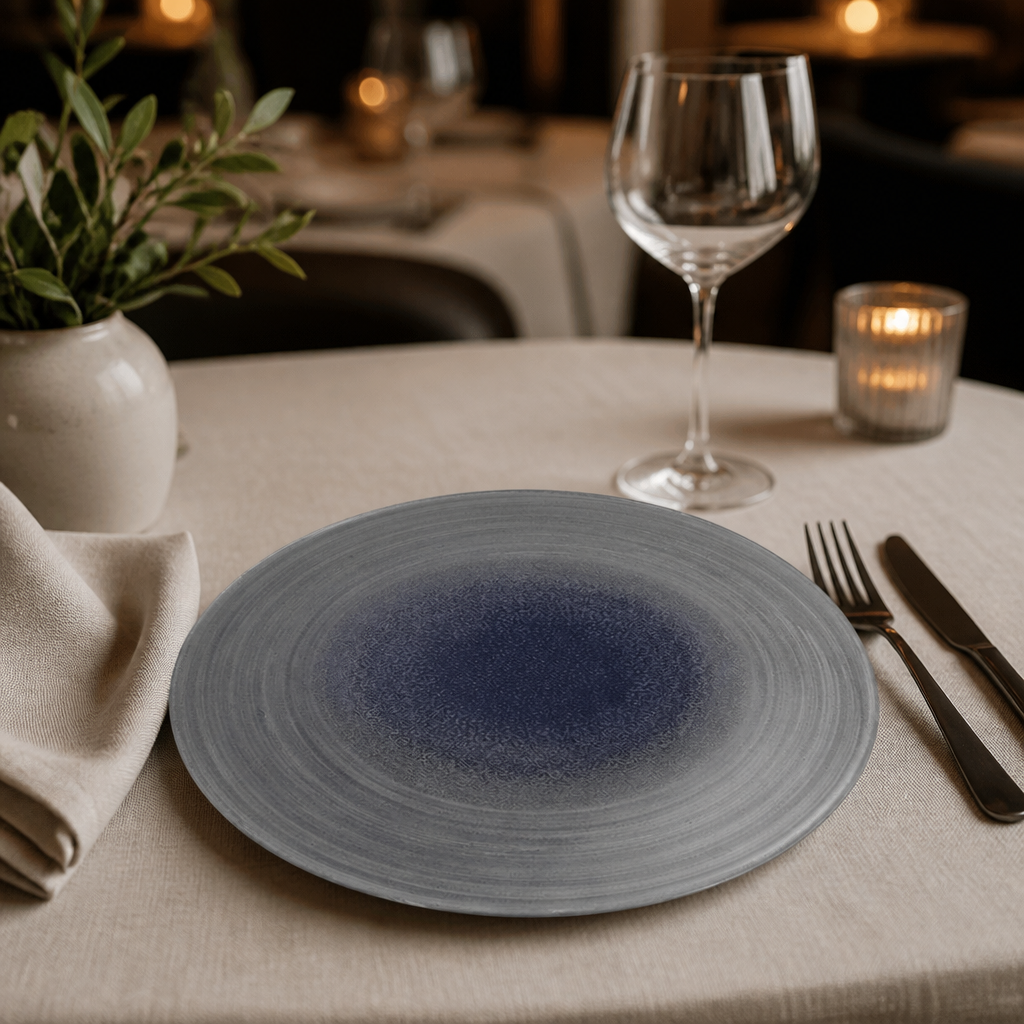 Commercial Aqueous Grey Coupe Plates 10.25 inch 12 Pack