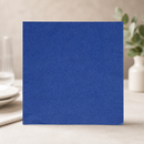 Commercial Recyclable Dinner Napkins 40x40cm Blue 2000 Pack