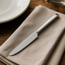 Commercial Table Knives Set of 12 - Modern Stainless Steel