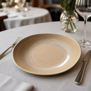 Commercial Sandstone Zest Platter 255mm - 12 Pack