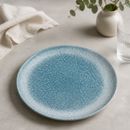 Commercial Coupe Plates Topaz Blue 217mm Porcelain 12 Pack