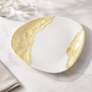 Commercial Triangle Chefs Plates 255 x 203mm - 12 Pack