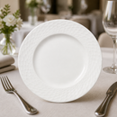 Commercial Mid Rim Plates 202.5mm for Hospitality 24 Pack