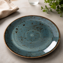 Commercial Blue Coupe Plates 300mm - 12 Pack Vitrified Ceramic