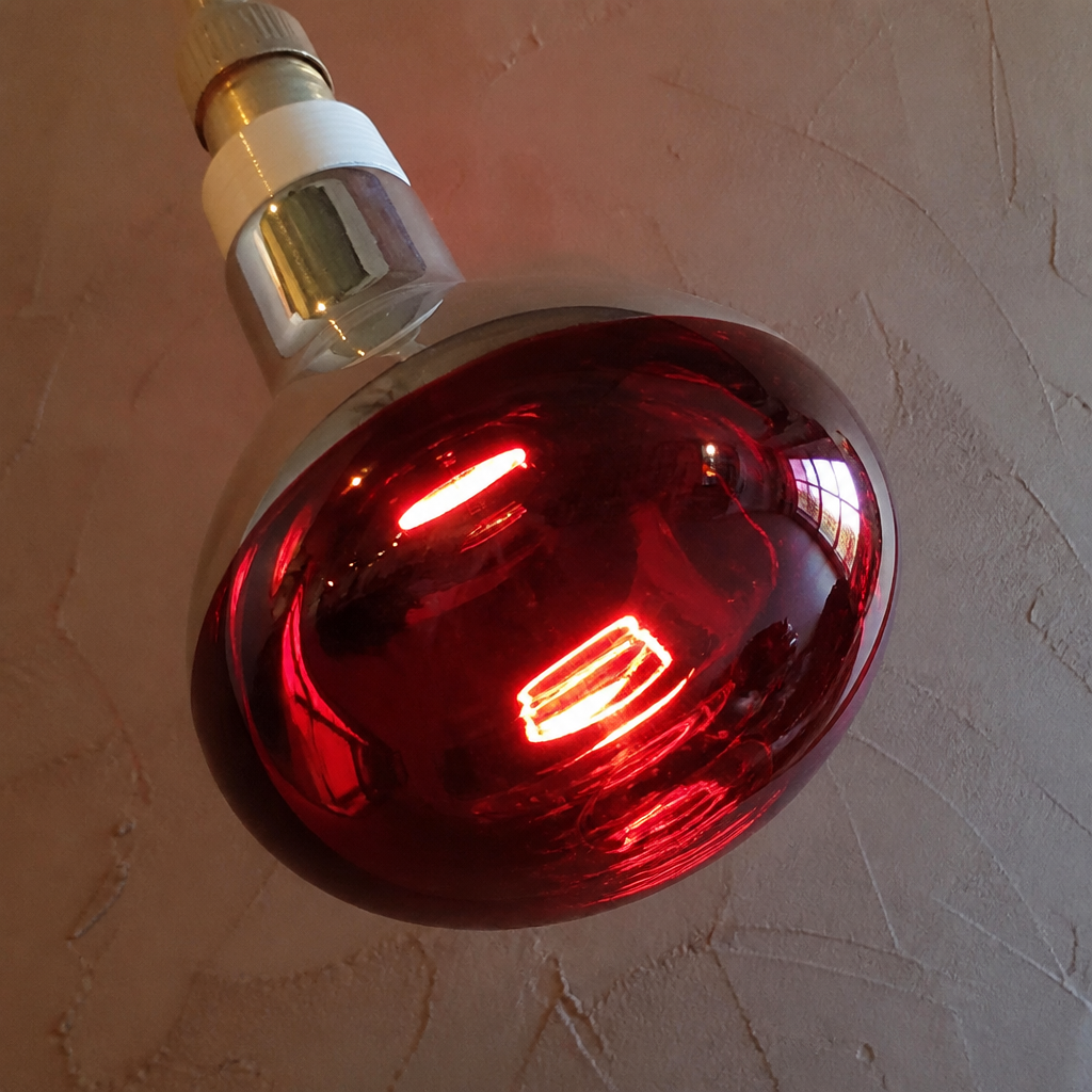 250W Commercial Heat Lamp Bulb Replacement for food warmers