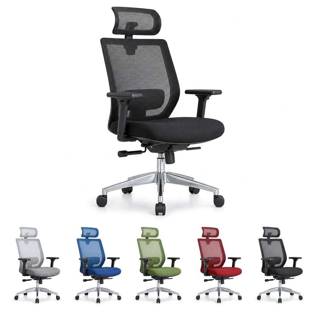 Ergonomic Task Chair with Colour Options