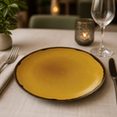 Commercial Mustard Coupe Plates 260mm Vitrified Porcelain 12 Pack
