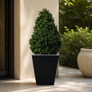 Artificial Topiary Buxus Pyramid 900mm Indoor Plant Decoration