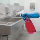 Premium Kettle Descaler 750ML - Effective Limescale Treatment with Easy Spray Application