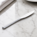Commercial Stainless Steel Table Knives 12 Pack Dishwasher Safe