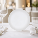 Commercial Frost Plates 220mm Rimless Design 12 Pack