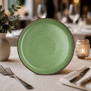 Commercial Spice Plates 240mm Vitrified Stoneware 12 Pack