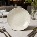 Commercial Coupe Bowls 255mm Taupe 12 Pack Crackle Design