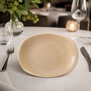 Commercial Sandstone Plates 305mm Diameter - 12 Pack