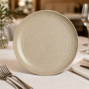 Commercial Coupe Plates 270mm Microwave Oven Dishwasher Safe