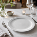 Commercial Narrow Rimmed Plates 254mm - 12 Pack Porcelain
