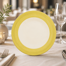 Commercial Yellow Slimline Plates 270mm - 24 Pack