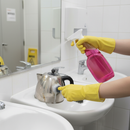 Premium Kettle Descaler 750ML - Effective Limescale Treatment with Easy Spray Application