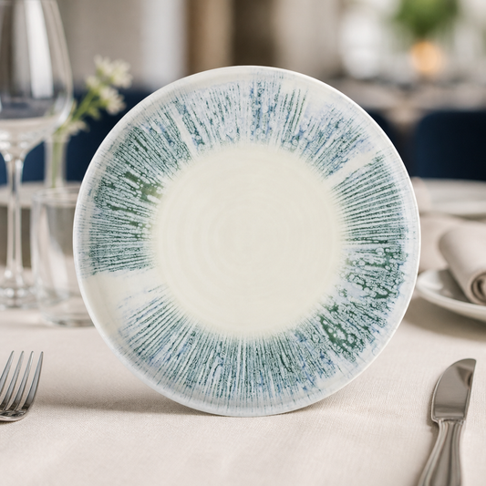 Commercial walled plates 210mm, microwave and dishwasher safe