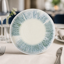 Commercial Walled Plates 210mm Microwave & Dishwasher Safe