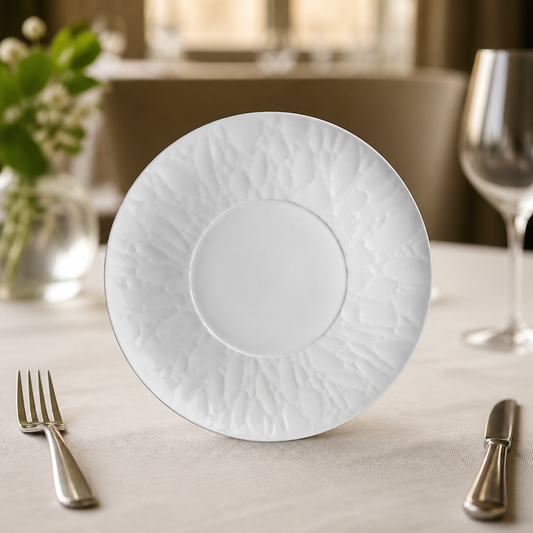 Commercial Porcelain Plates 279mm Well 12 Pack