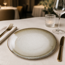 Commercial Coupe Plates 270mm Taupe Stoneware 6 Pack