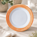 Commercial Brush Side Plates 155mm Pack of 24