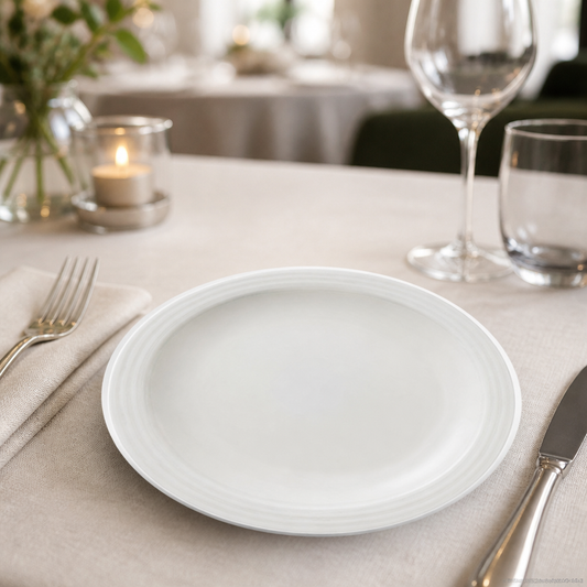 Commercial 254mm Plates - 12 Pack Collection